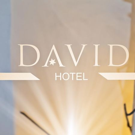 Hotel David An Der Donau 雷根斯堡 外观 照片