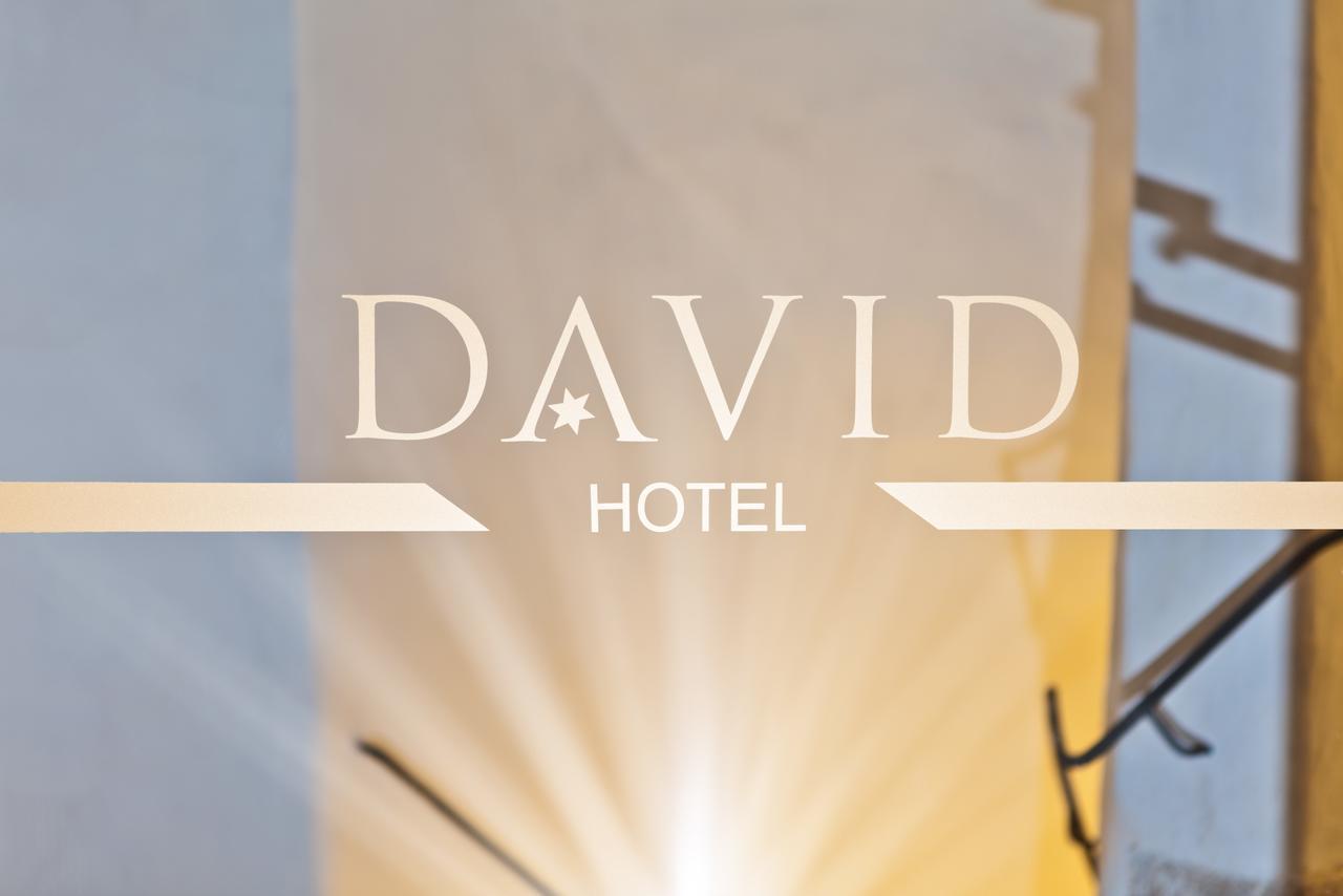 Hotel David An Der Donau 雷根斯堡 外观 照片